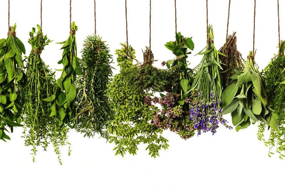 ekstrak herbal tropis di Eroboost